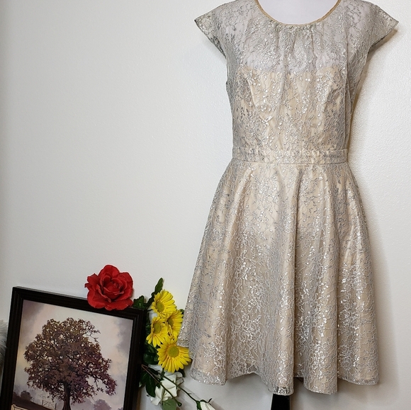 NEW RARE Slate & Willow Champagne Illusion Neckline Glistening Lace Spin Dress - Picture 7 of 16